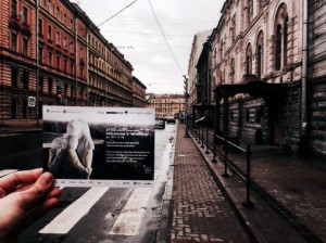 regnum_picture_1474534651164200_big