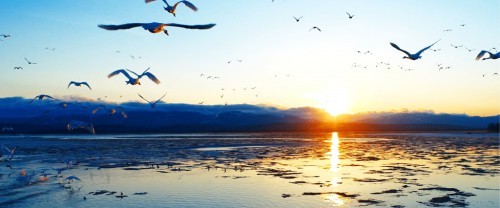 a4baeb073525a3366d84ede80cba6ced