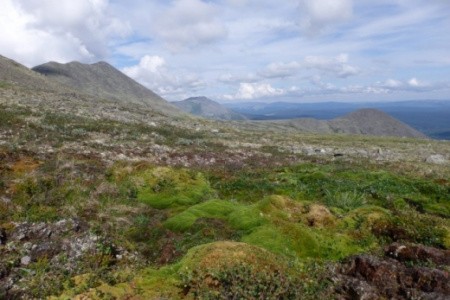 cfbaae497972b508e17b4e04dfa8fcc0