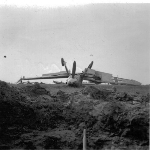 103.a9ib5lat68wggwgookg0848kg.ejcuplo1l0oo0sk8c40s8osc4.th