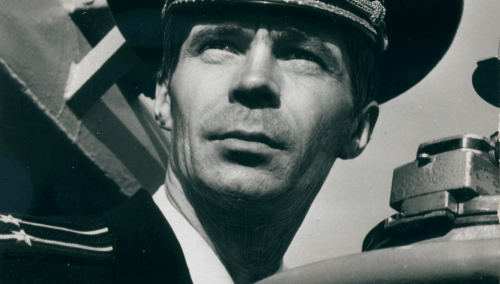 скабард безз